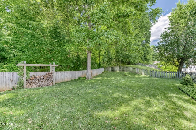 620 Glen Oaks Pl, Johnson City, TN 37615 - view of yard