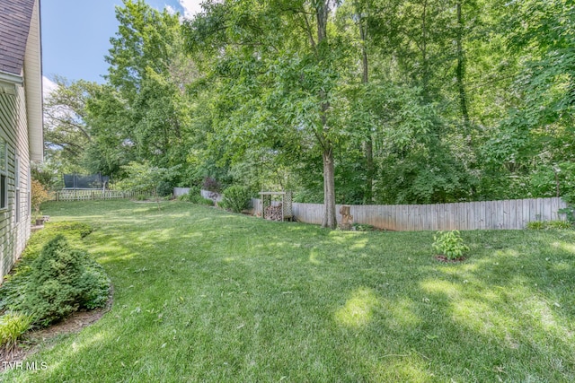 620 Glen Oaks Pl, Johnson City, TN 37615 - view of yard
