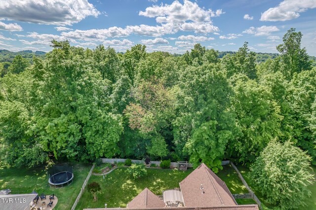 620 Glen Oaks Pl, Johnson City, TN 37615 - aerial view of a forest