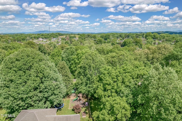 620 Glen Oaks Pl, Johnson City, TN 37615 - drone / aerial view of a forest and mountains