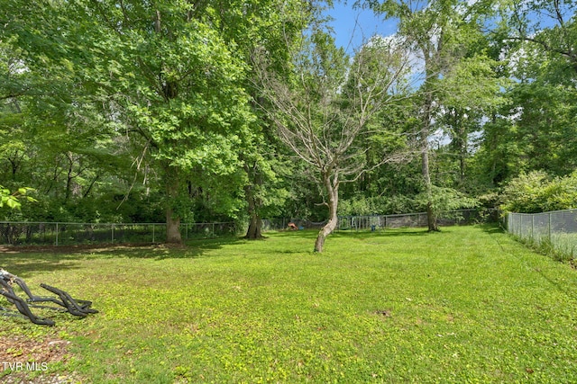 324 Reservoir St, Bristol, VA 24201 - view of yard