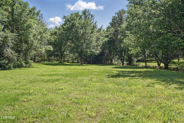 1032 Pleasant Dr, Jonesborough, TN 37659