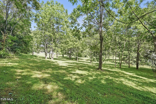 1032 Pleasant Dr, Jonesborough, TN 37659