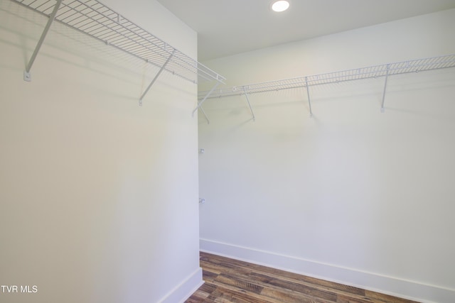 408 Levelin St, Erwin, TN 37650 - walk in closet with dark wood-style floors