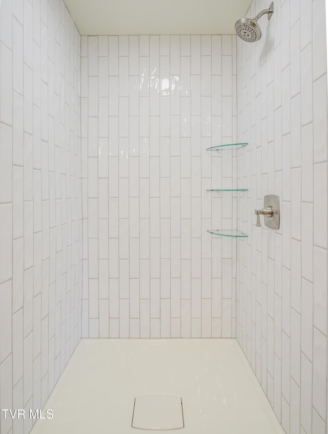 408 Levelin St, Erwin, TN 37650 - full bath featuring tiled shower