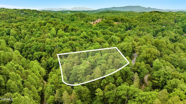 TBD King Dr, Gatlinburg, TN 37738
