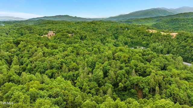 TBD King Dr, Gatlinburg, TN 37738