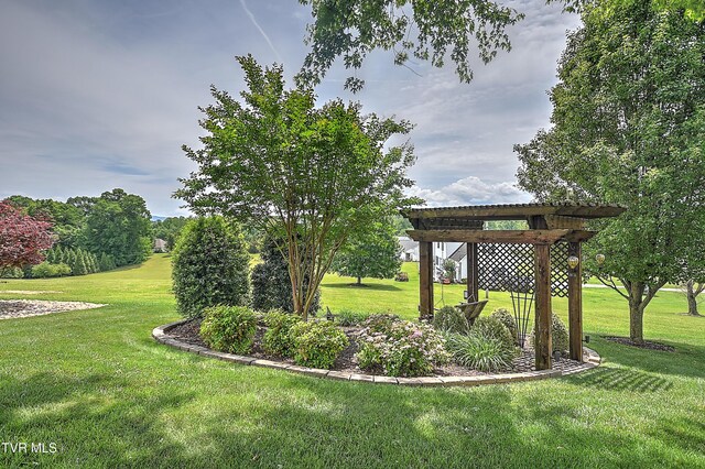 410 Grovemont Pl, Piney Flats, TN 37686 - view of property's community featuring a lawn