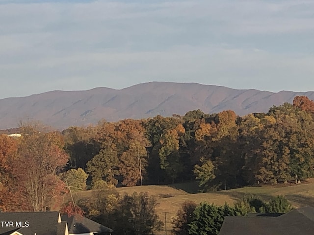410 Grovemont Pl, Piney Flats, TN 37686 - view of mountain background with a forest