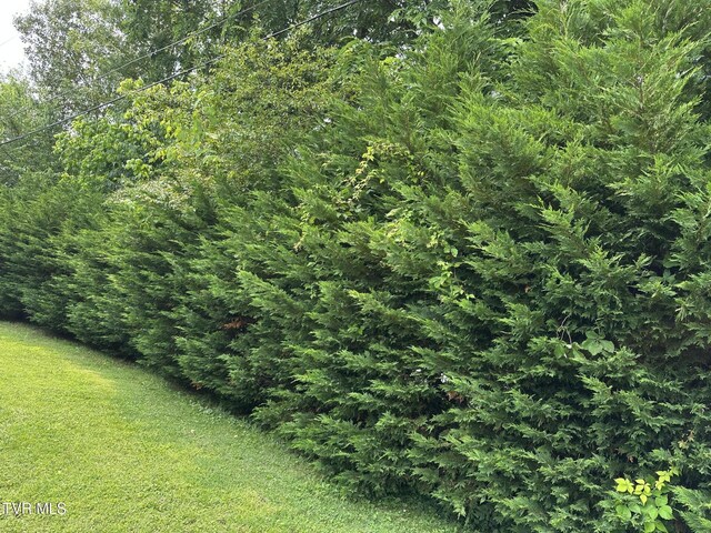 516 Fleetwood Ct Unit F, Kingsport, TN 37660 - view of local wilderness