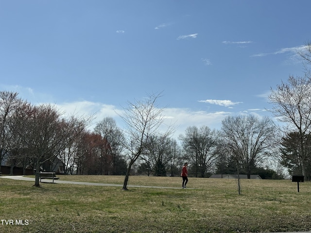 516 Fleetwood Ct Unit F, Kingsport, TN 37660 - view of green lawn
