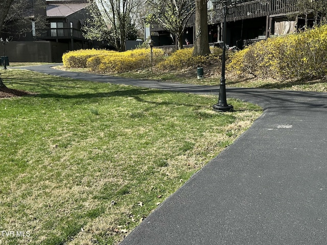 516 Fleetwood Ct Unit F, Kingsport, TN 37660 - view of green lawn