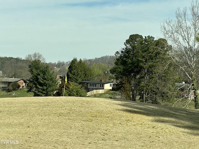 516 Fleetwood Ct Unit F, Kingsport, TN 37660 - view of green lawn