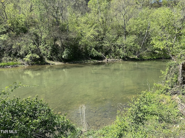 516 Fleetwood Ct Unit F, Kingsport, TN 37660 - water view featuring a forest