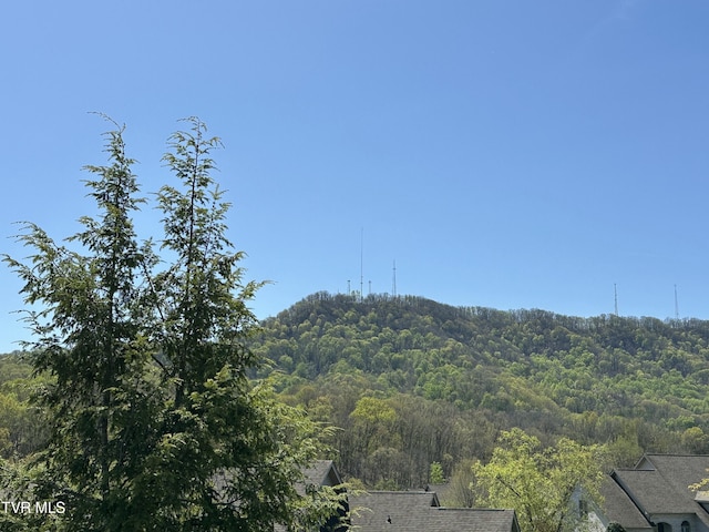 516 Fleetwood Ct Unit F, Kingsport, TN 37660 - view of mountain background featuring a forest