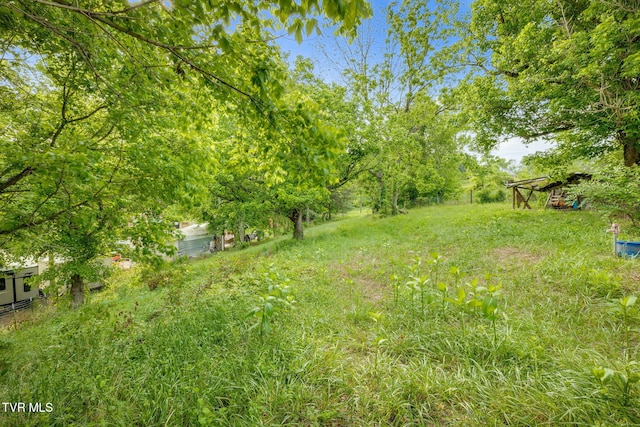 141 Stanley Rd, Johnson City, TN 37615