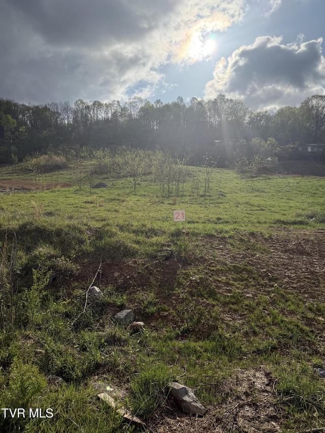829 Granby Rd, Kingsport, TN 37660