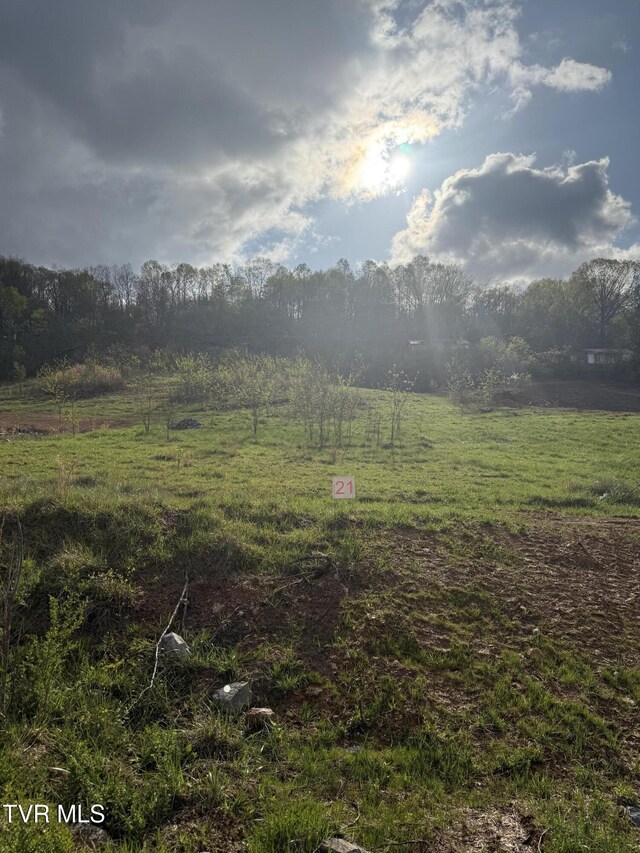 829 Granby Rd, Kingsport, TN 37660