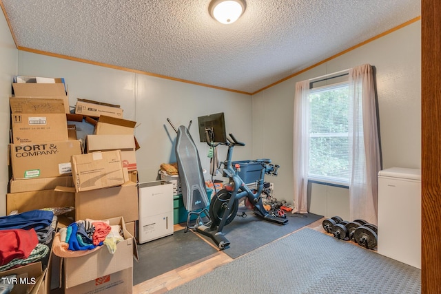 6855 Gate City Hwy, Bristol, VA 24202 - exercise room featuring lofted ceiling, crown molding, a textured ceiling, and wood finished floors