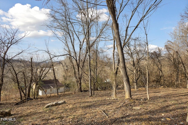 515 Aesque St Ext, Kingsport, TN 37665 - view of yard