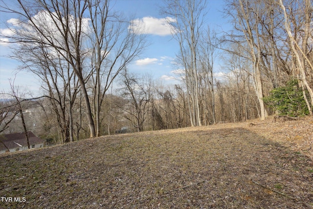 515 Aesque St Ext, Kingsport, TN 37665 - view of yard