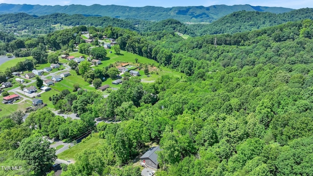 515 Aesque St Ext, Kingsport, TN 37665 - aerial overview of property's location with a forest and a mountainous background