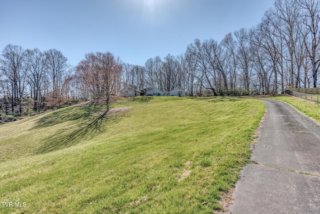 16 Chaucer Ct, Gray, TN 37615 - view of road
