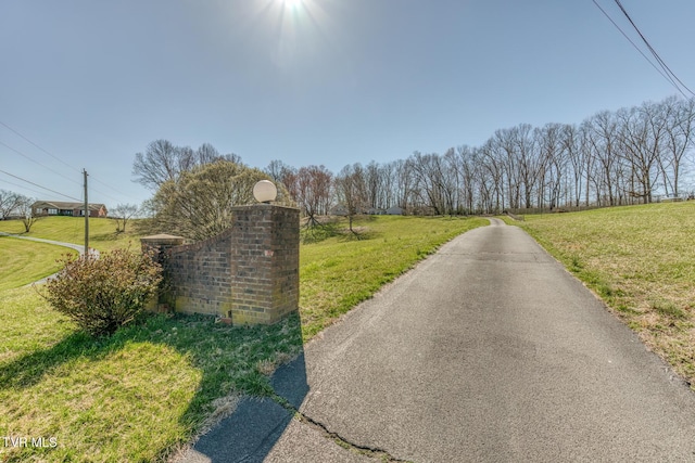 16 Chaucer Ct, Gray, TN 37615 - view of asphalt road