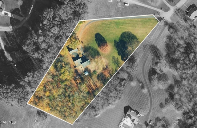 16 Chaucer Ct, Gray, TN 37615 - aerial view of property's location with property parcel outlined