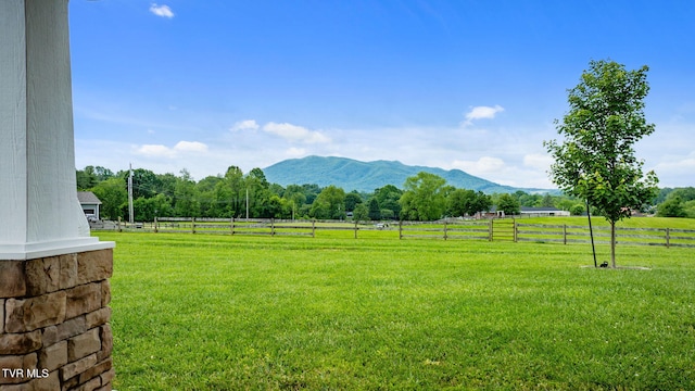 110 Emmanuel Dr, Johnson City, TN 37601 - view of yard with a mountain view and a view of countryside