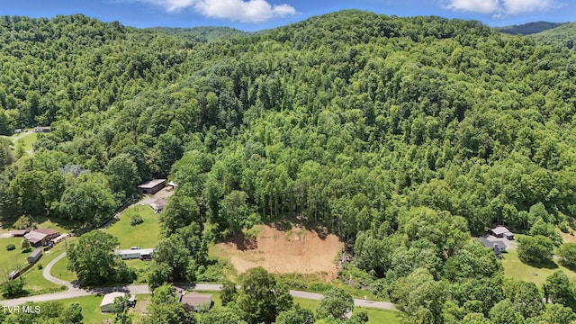 TBD Hash Hollow Rd, Wise, VA 24293