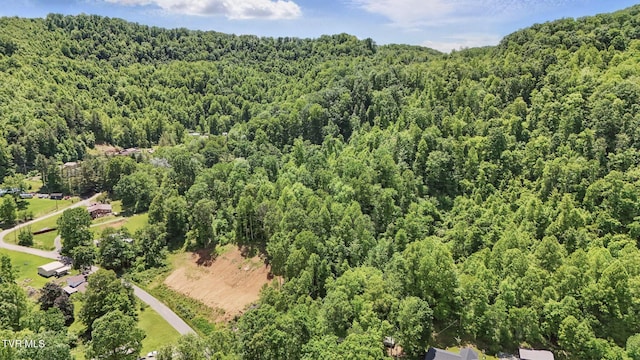 TBD Hash Hollow Rd, Wise, VA 24293