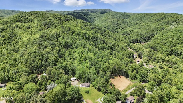 TBD Hash Hollow Rd, Wise, VA 24293