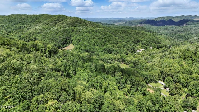 TBD Hash Hollow Rd, Wise, VA 24293
