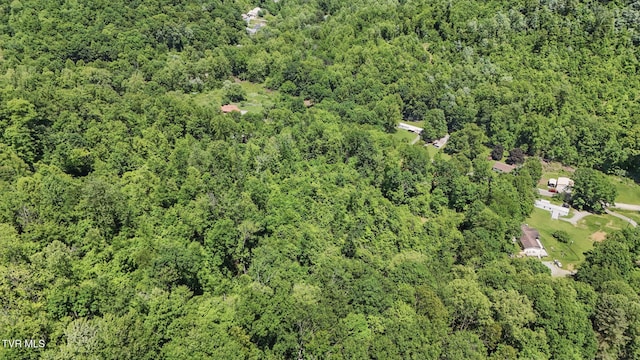 TBD Hash Hollow Rd, Wise, VA 24293