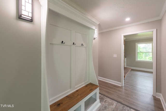 1236 Nassau Dr, Kingsport, TN 37660 - mudroom with ornamental molding, wood finished floors, baseboards, and a textured ceiling