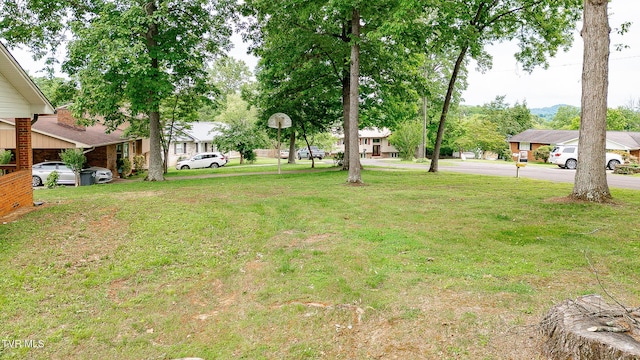 1236 Nassau Dr, Kingsport, TN 37660 - view of green lawn