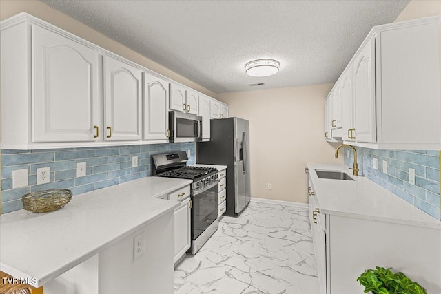 2700 Indian Ridge Rd Unit 12, Johnson City, TN 37604 - kitchen with a sink, stainless steel appliances, light marble finish flooring, decorative backsplash, and a textured ceiling