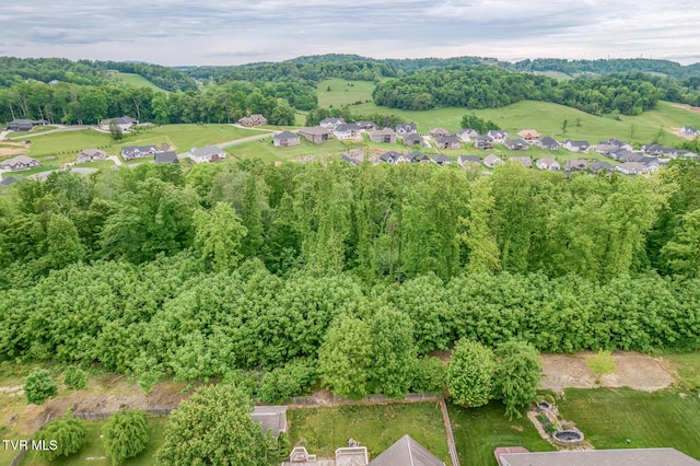 220 Michaels Ridge Blvd, Johnson City, TN 37615 - aerial overview of property's location