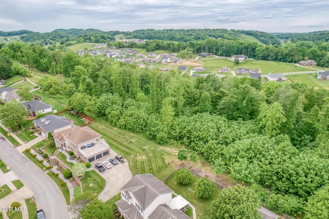220 Michaels Ridge Blvd, Johnson City, TN 37615 - aerial perspective of suburban area