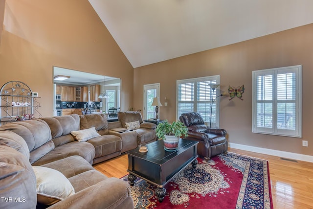 220 Michaels Ridge Blvd, Johnson City, TN 37615 - living room featuring high vaulted ceiling, light wood finished floors, and baseboards