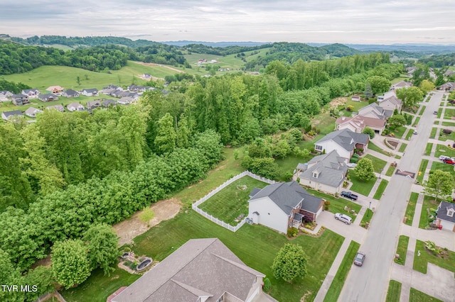 220 Michaels Ridge Blvd, Johnson City, TN 37615 - aerial perspective of suburban area