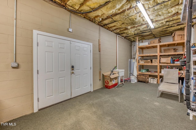 220 Michaels Ridge Blvd, Johnson City, TN 37615 - unfinished basement featuring carpet floors and concrete block wall