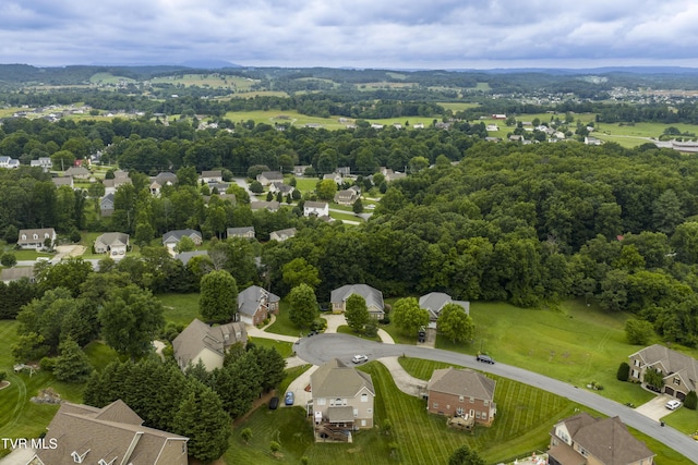 194 Sunset Meadows Ct, Gray, TN 37615 - photo 44