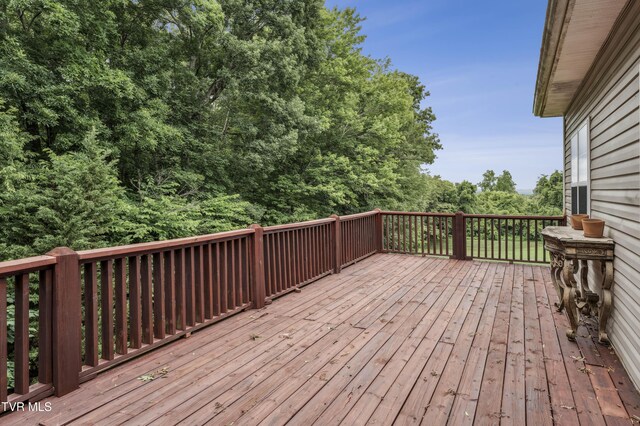 194 Sunset Meadows Ct, Gray, TN 37615 - photo 48