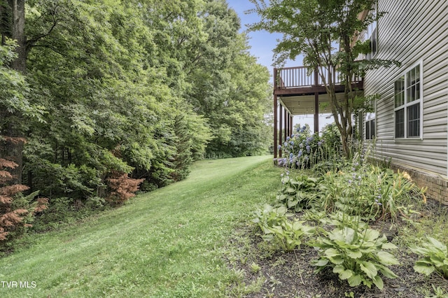194 Sunset Meadows Ct, Gray, TN 37615 - photo 52