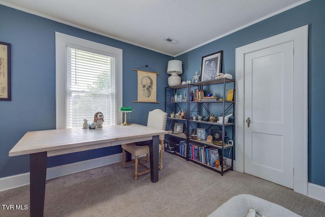 3901 Rocky Hill Ln, Kingsport, TN 37660 - carpeted office space featuring ornamental molding and baseboards