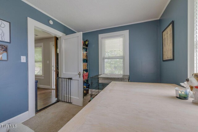 3901 Rocky Hill Ln, Kingsport, TN 37660 - carpeted bedroom with crown molding, multiple windows, and baseboards