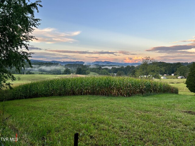 3901 Rocky Hill Ln, Kingsport, TN 37660 - yard at dusk with a mountain view, a lawn, and a view of rural / pastoral area