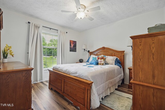 5009 Surrey Dr, Kingsport, TN 37664 - bedroom with wood finished floors, a textured ceiling, and a ceiling fan